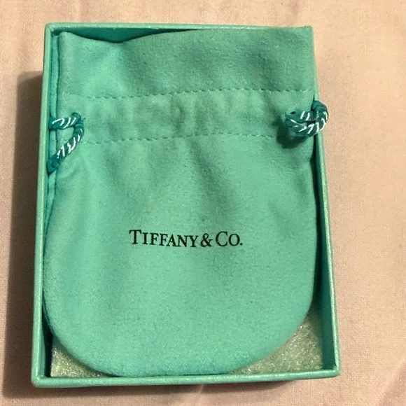 Tiffany & Co. Aqua Jewelry Pouch - Picture 1 of 3